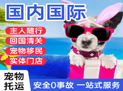 扬州空运代理国际宠物托运 【国